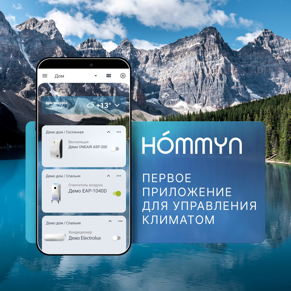 Модуль съемный управляющий HOMMYN HDN/WFN-02-01